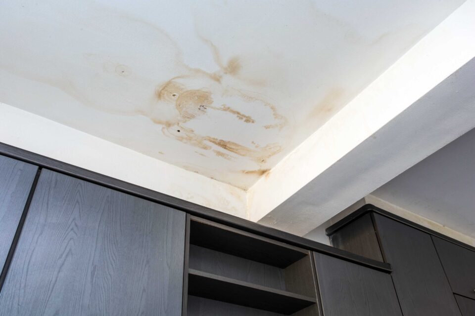 Roof leak detection services in Essex, MD